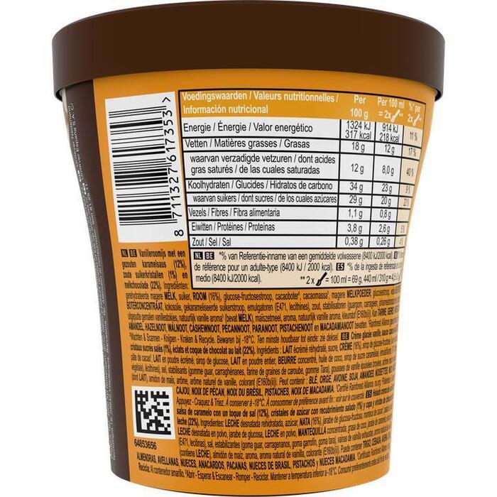 Magnum Pint Ijs Double Salted Caramel 440ML (310g)