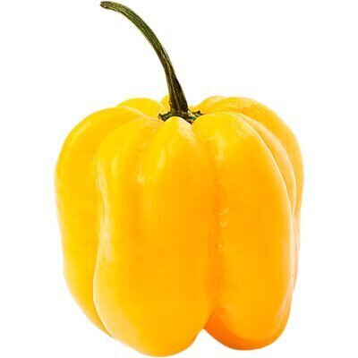 AH Adjuma peper