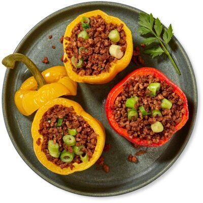 AH Terra Plantaardig rulgehakt (200g)
