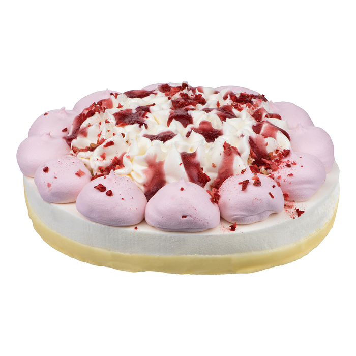 Patissier vanille aardbei ijstaart (11 × 50g)