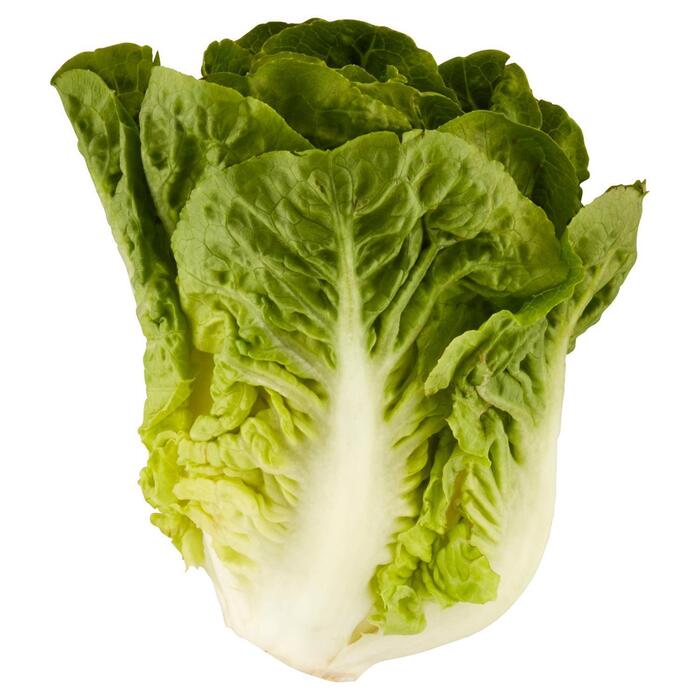 1 de Beste Mini romaine