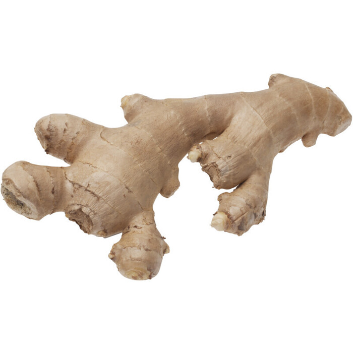 AH Biologisch Gember los (100g)