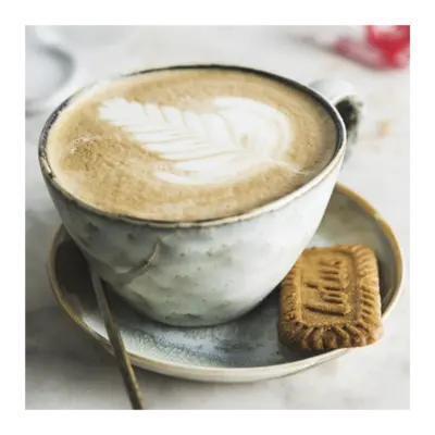 Lotus Biscoff speculoos koek XL 2P x 10 (250g)