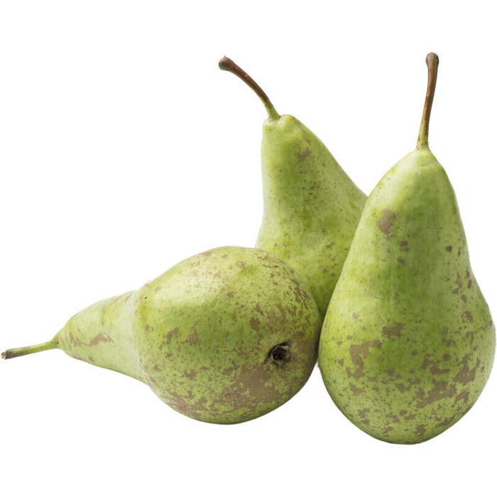 AH Conference handperen