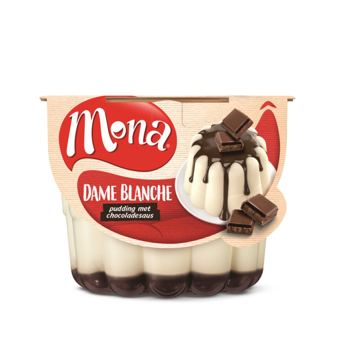 Luchtige Dame Blanche pudding (bak, 45cl)