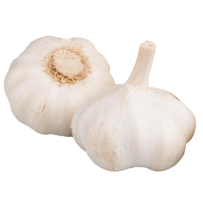Knoflook staaf (200g)