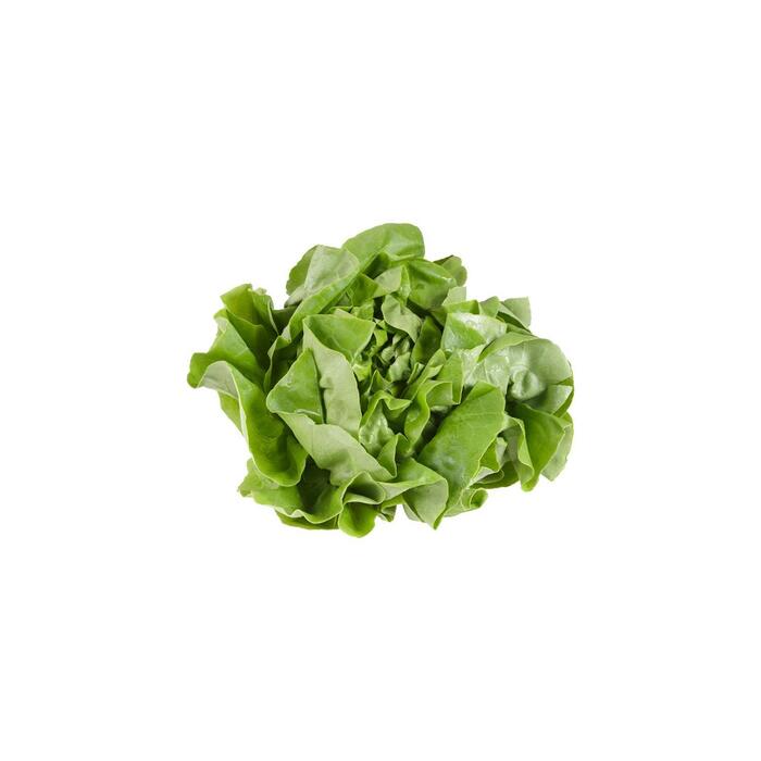 Kropsla