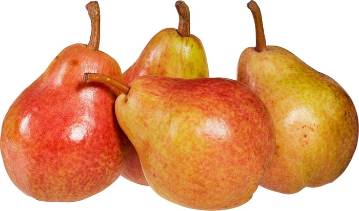 Peer Concorde (600g)