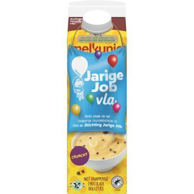 Bolletjes vanille vla met crunch (Pak, 1L)