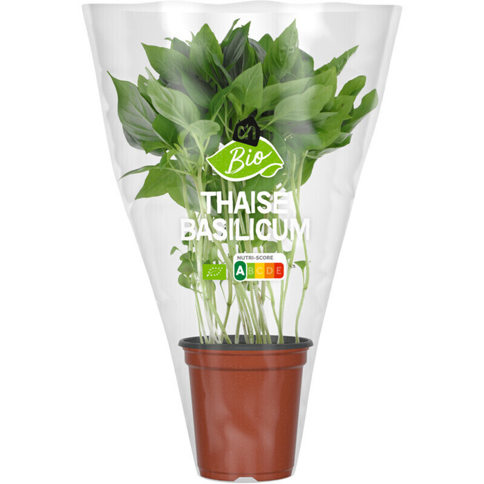 AH Biologisch Thaise basilicum