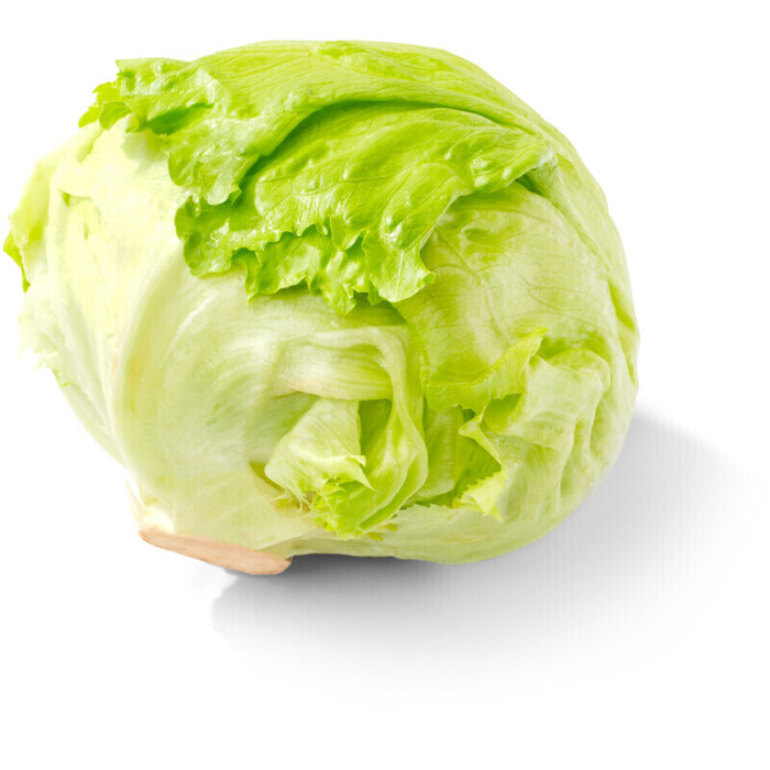 AH IJsbergsla (krop)