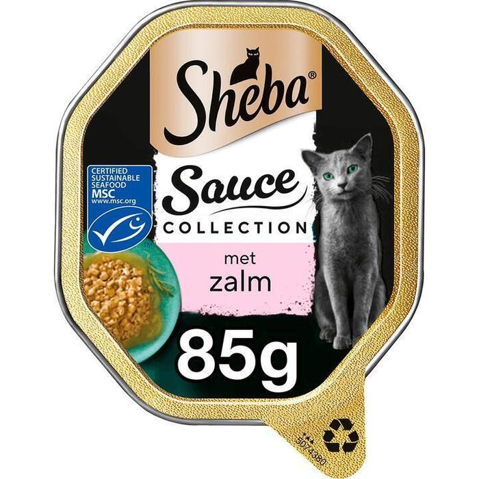 Alu sauce lovers zalm (kuipje, 85g)