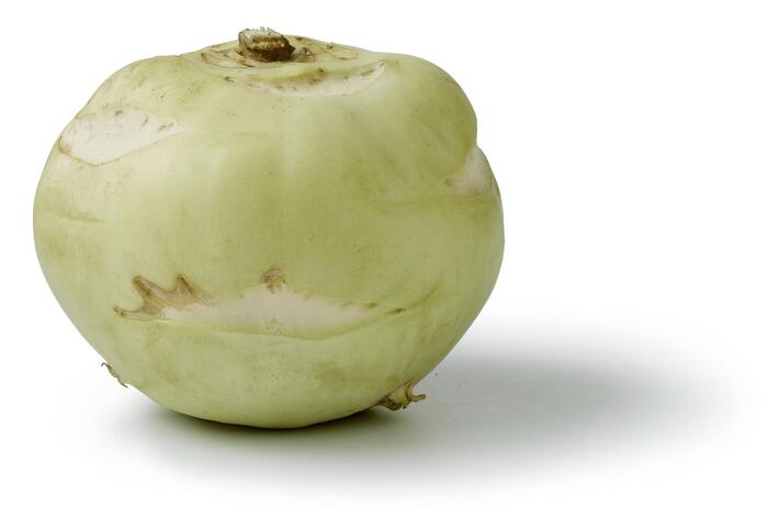 Koolrabi