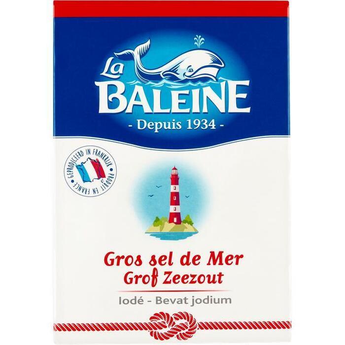 Grof zeezout kartonpak (1kg)