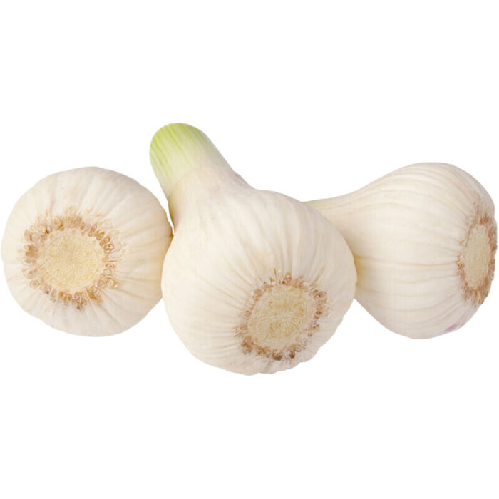 AH Verse knoflook (bol)