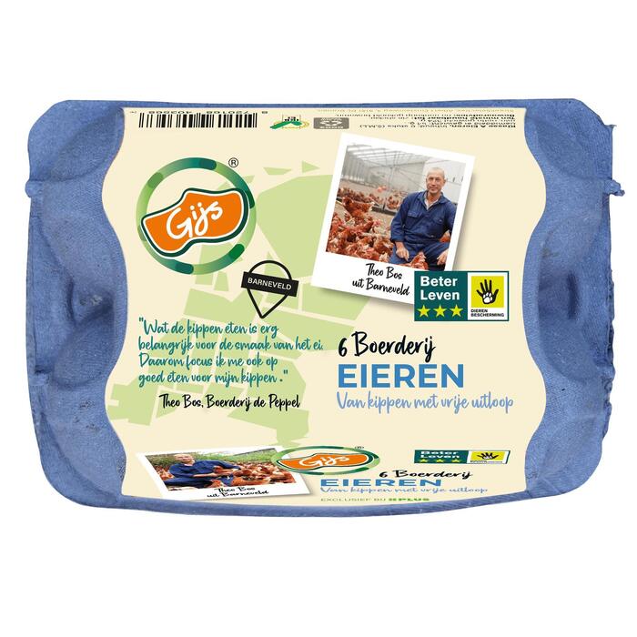 Vrije uitloop eieren (doos, 6 stuks)