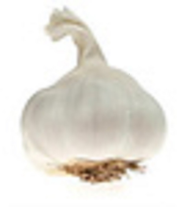 Jumbo Knoflook 250 g (100g)