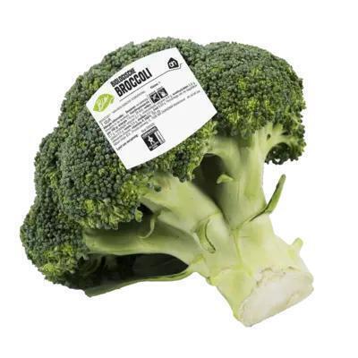 AH Biologisch Broccoli (500g)
