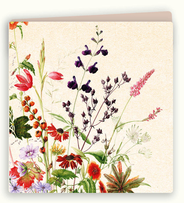 Kaart marianne bloemen hessenhof