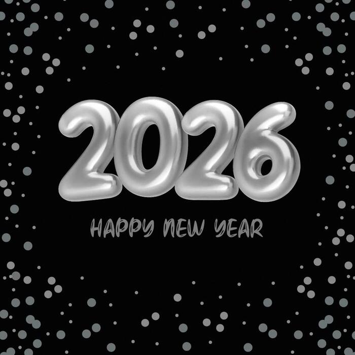 Duni NAPKINS 3-PLY 33X33CM NYE 2026