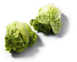 Mini romaine