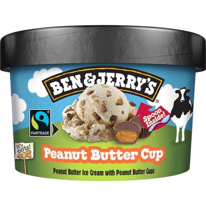 Ben & Jerry's IJs peanutbutter cup (100ml)