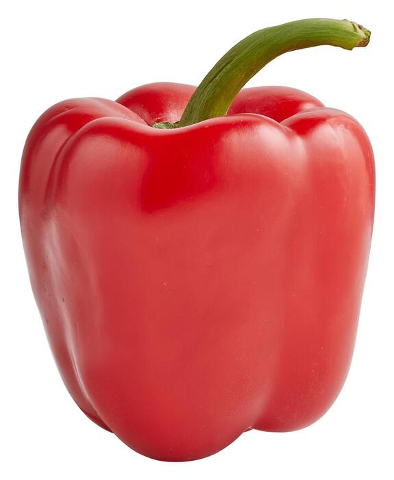 Freshwell Paprika Rood 1st flow