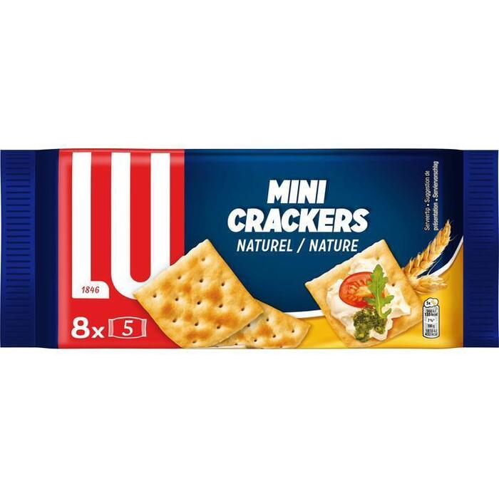 Mini Crackers Naturel (Pak, 250g)