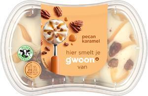 g'woon Slagroomijs pecan caramel (200ml)