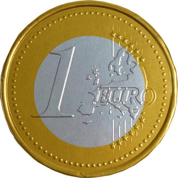 ABS Sweets Grote Euro Munt (50g)