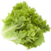AH Andijvie (1kg)