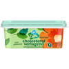 AH Terra Smeerbaar cholesterol verlagend (250g)