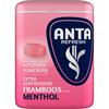 Anta Framboos menthol extra verfrissend (40 × 1.8g)