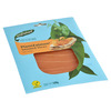 Unfished PlantZalmon Smoked Slices 100 g (100g)