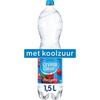 Cranberry Koolzuurhoudend (rol, 1.5L)