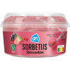 Bosvruchten sorbetijs (0.5L)