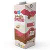 AH IJskoffie cappuccino (1L)