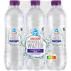 AH Bruiswater zwarte bes 6-pack (3L)