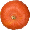 AH Biologisch Pompoen (1kg)