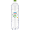 AH Bruiswater peer cactus (1.5L)