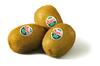 Kiwi green Zespri (500g)
