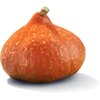 AH Biologisch Pompoen (1kg)