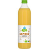 AH Biologisch Gember siroop (0.5L)
