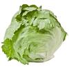 Fresh Source IJsbergsla maat 10 500 GRM Zak (500g)