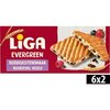Evergreen bosvruchten (Pak, 250g)