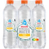 AH Bruiswater mango 6-pack (3L)