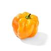 AH Adjuma peper