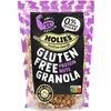 Holie's Glutenfree granola proteine nuts (330g)