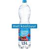 Cranberry Koolzuurhoudend (rol, 1.5L)