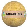 AH Biologisch Galia meloen (stuk)